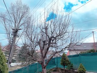 Keď kosu vymeniš za nožnice. Po predchádzajúcom radikálnom reze majiteľa som sa snažil o konzervatívnejší prístup a...